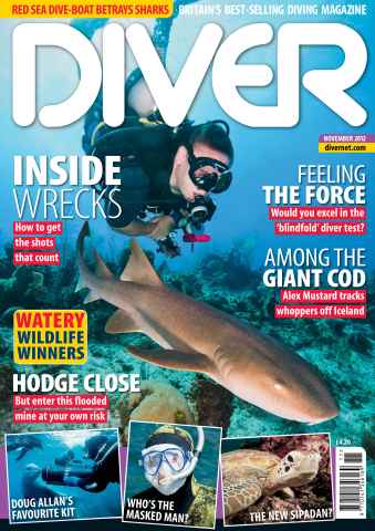 DIVER issue November 2012