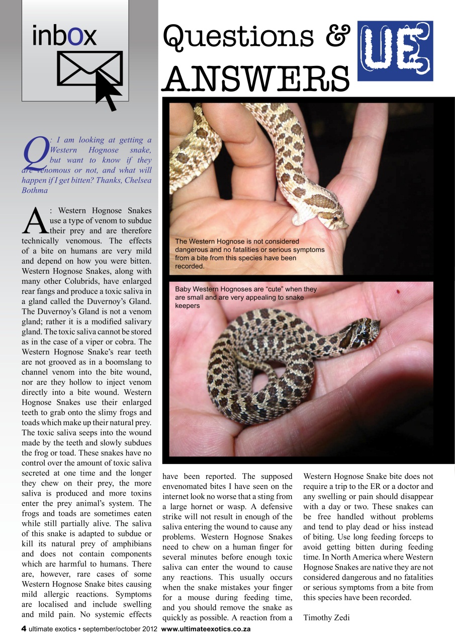 Ultimate Exotics Preview Pages