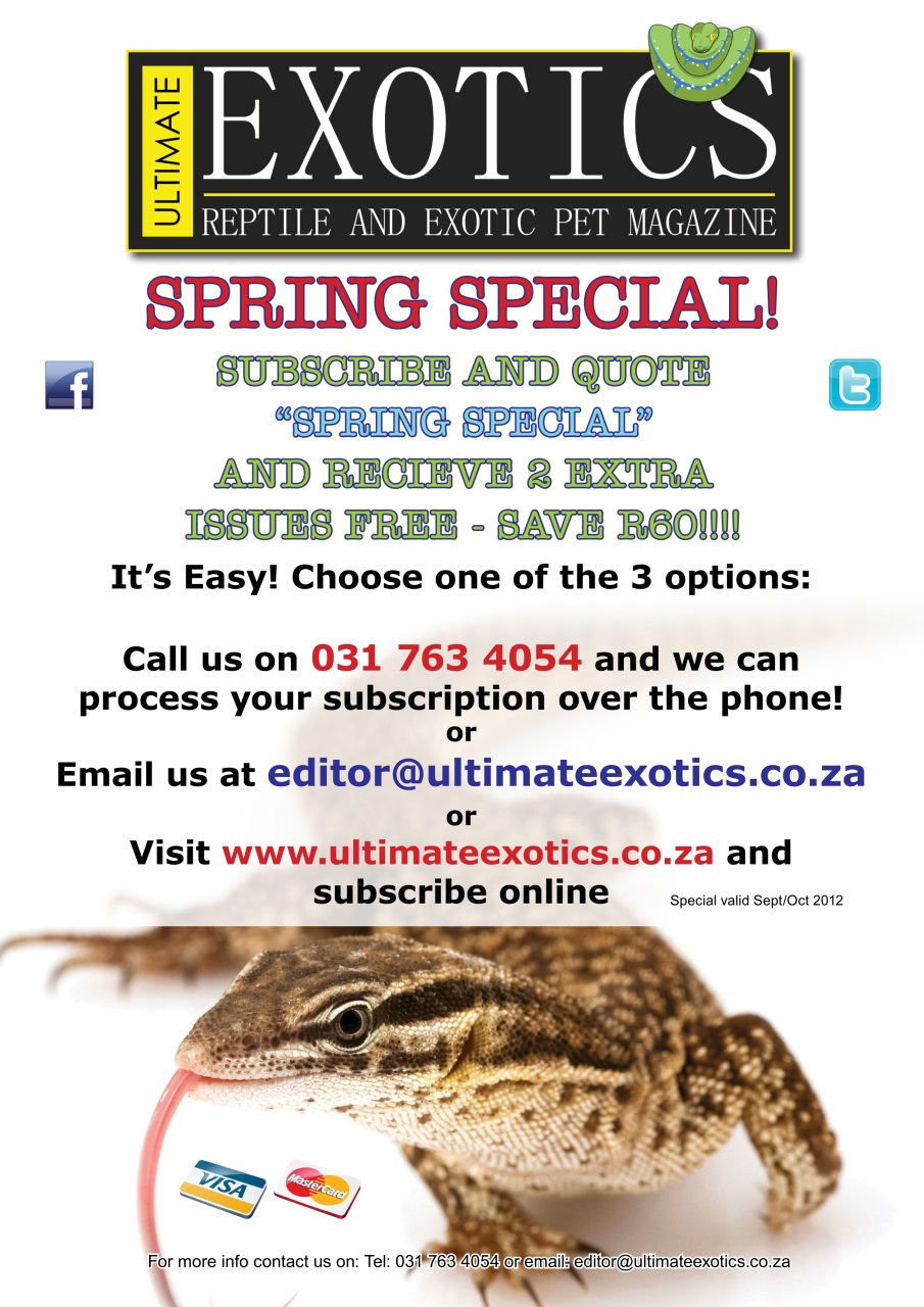 Ultimate Exotics Preview Pages