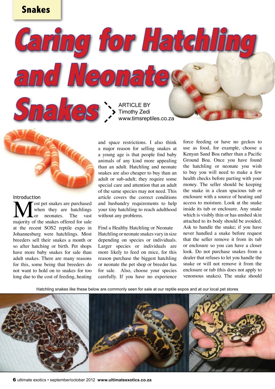 Ultimate Exotics Preview Pages