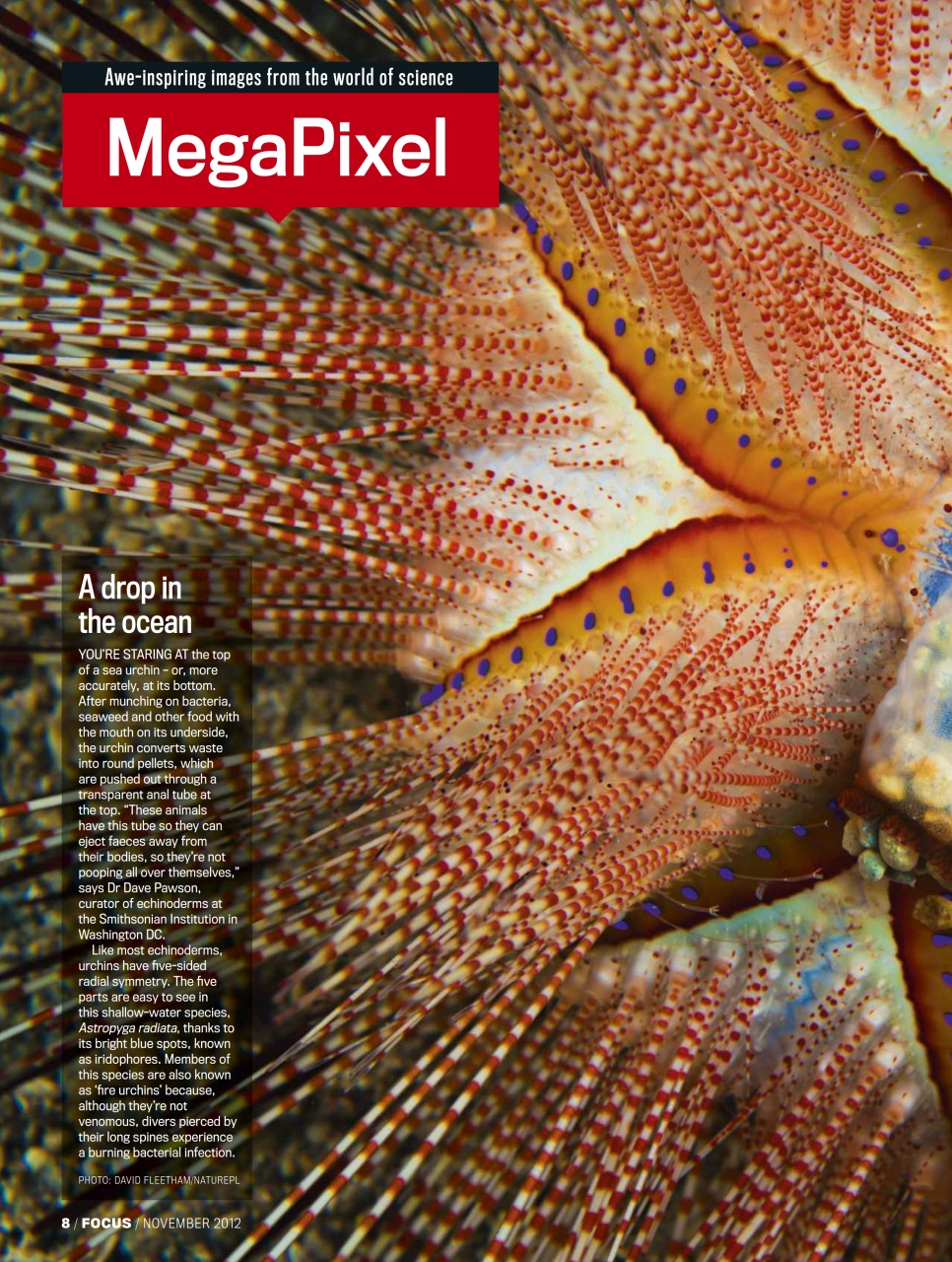 BBC Science Focus Magazine Preview Pages