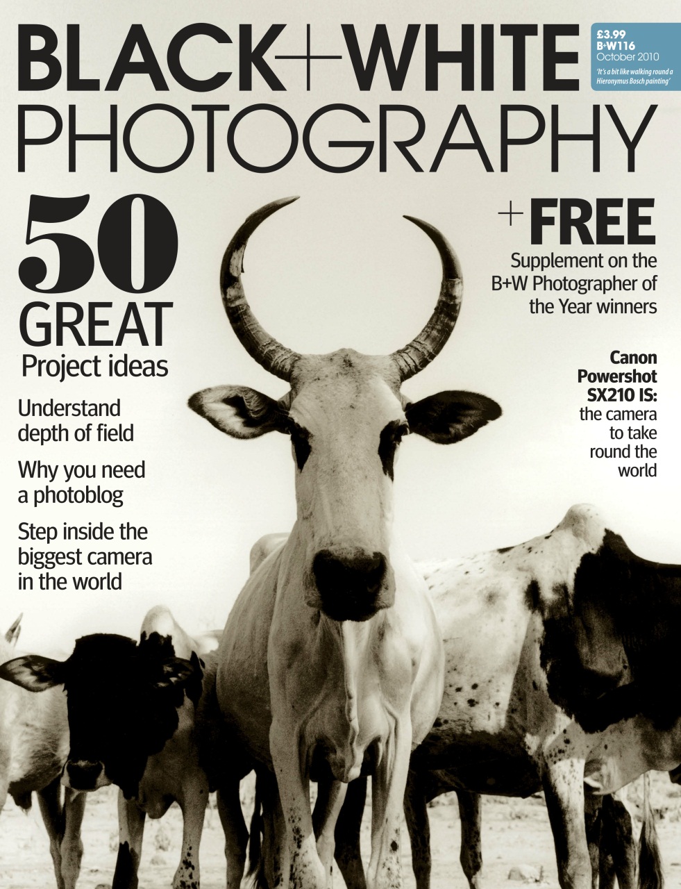 Black+White Photography Preview Pages