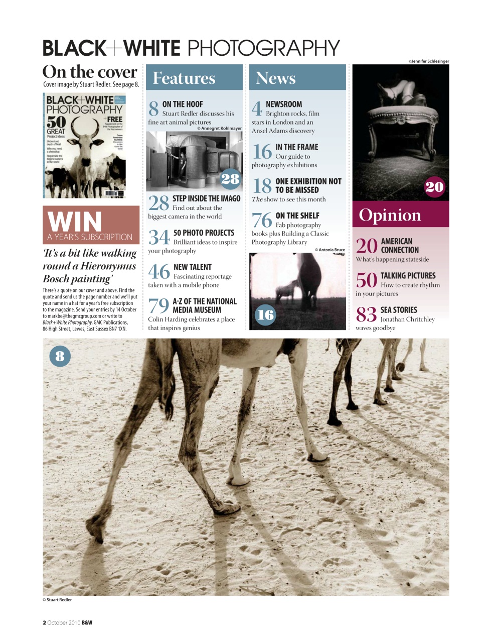 Black+White Photography Preview Pages