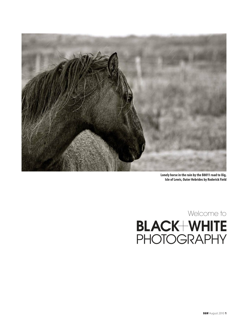 Black+White Photography Preview Pages
