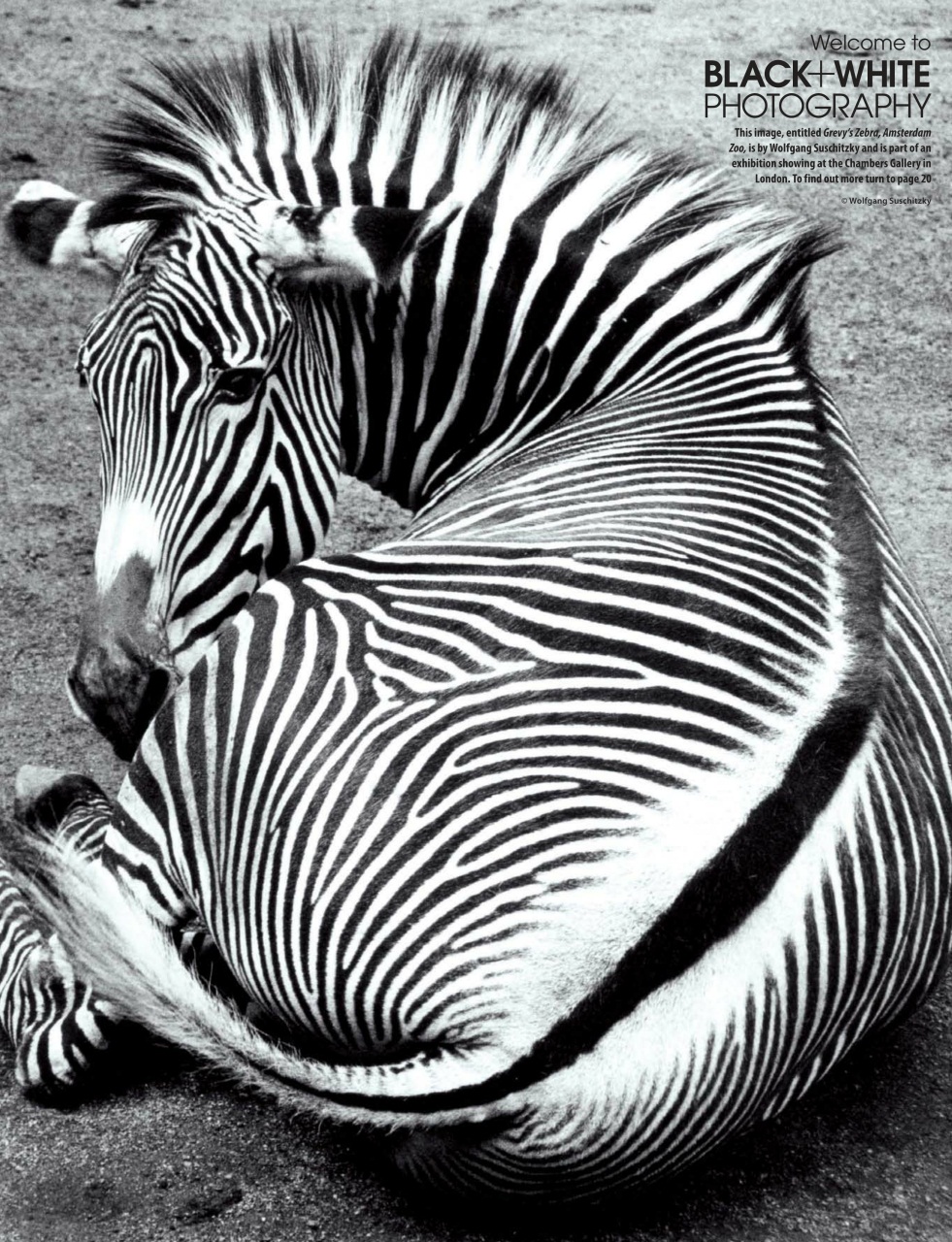 Black+White Photography Preview Pages