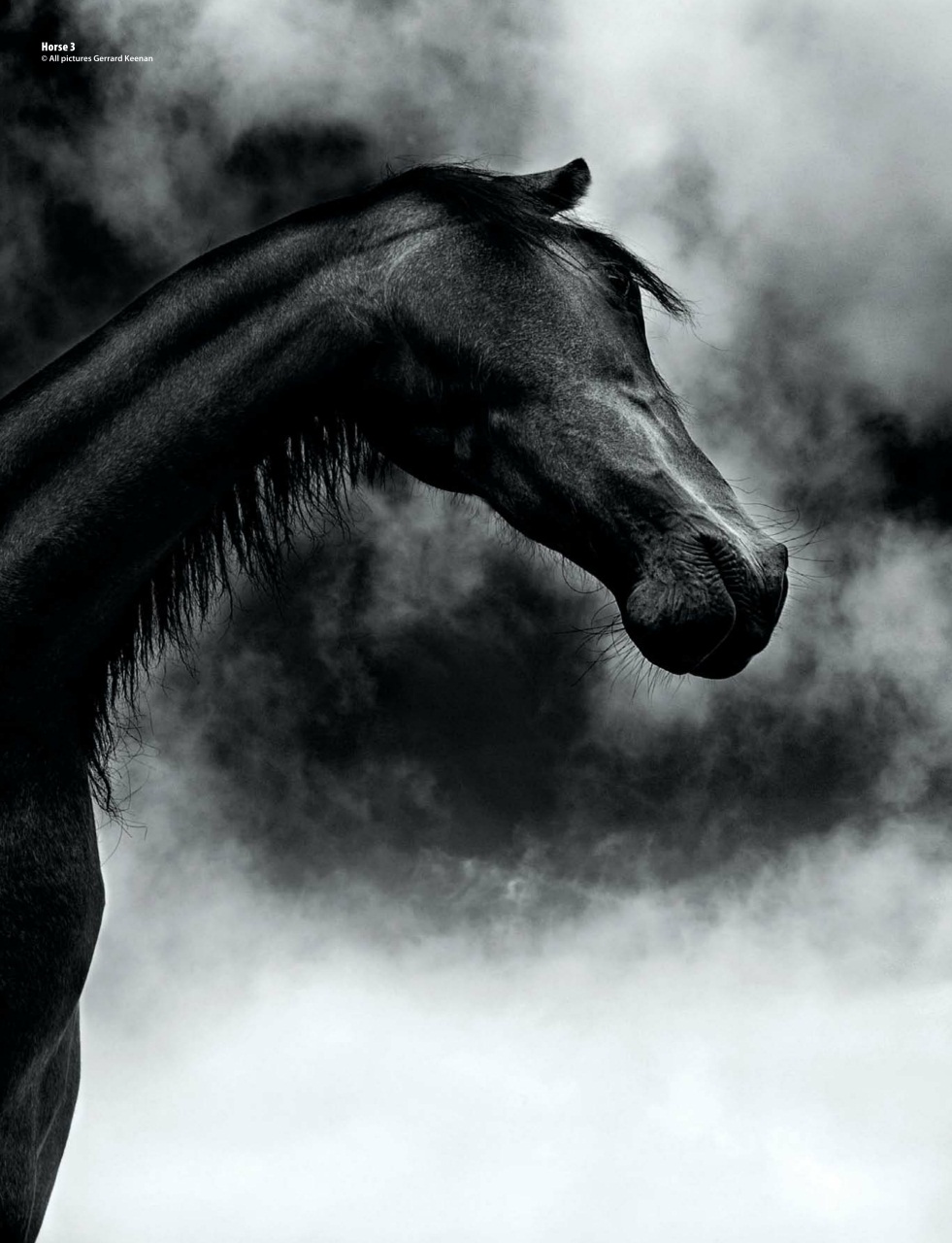 Black+White Photography Preview Pages