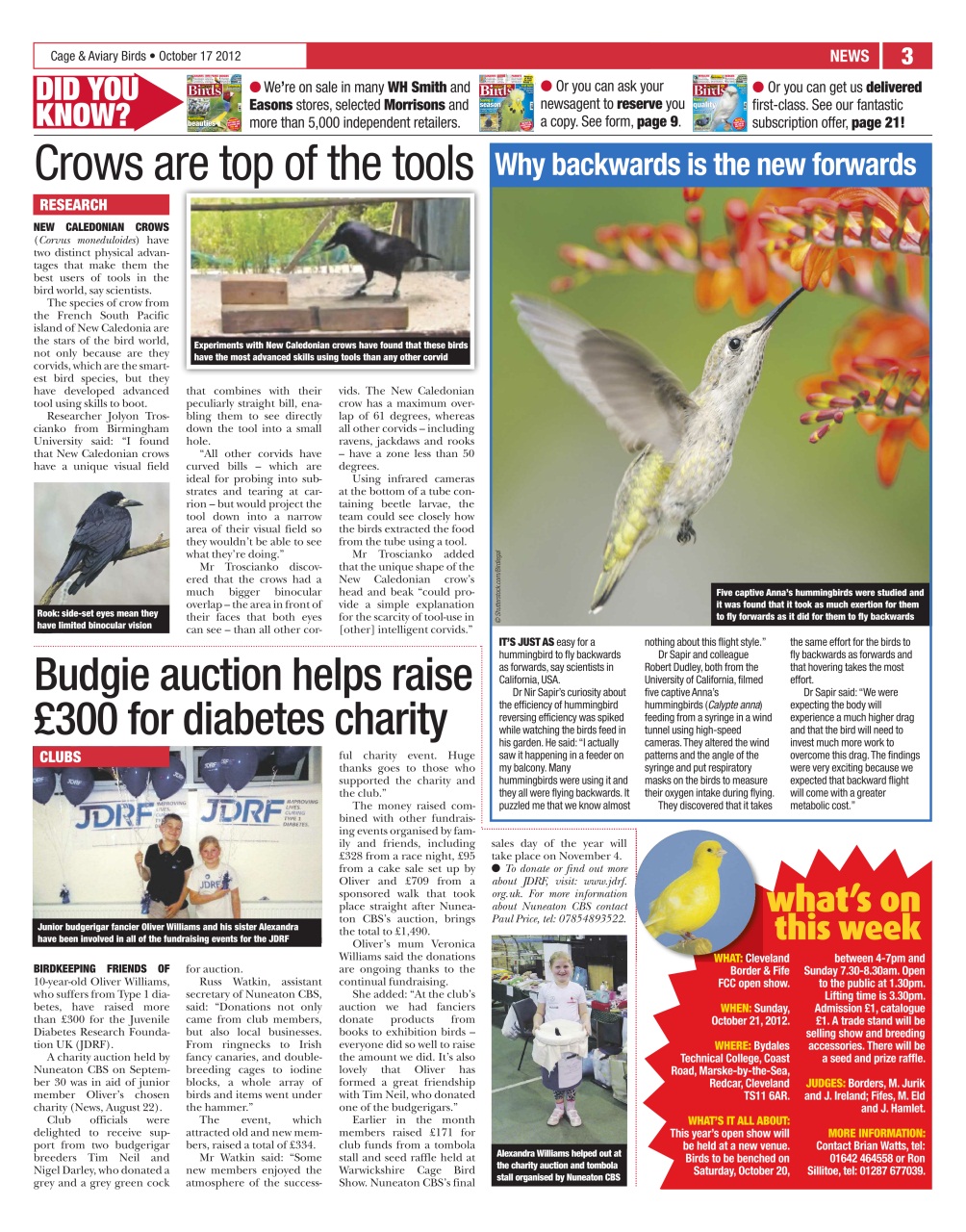 Cage & Aviary Birds Preview Pages