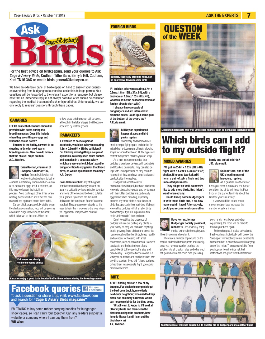 Cage & Aviary Birds Preview Pages