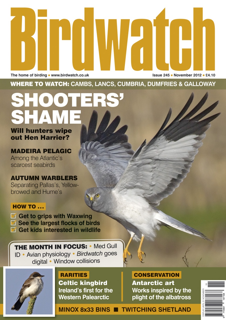 Birdwatch Magazine Preview Pages
