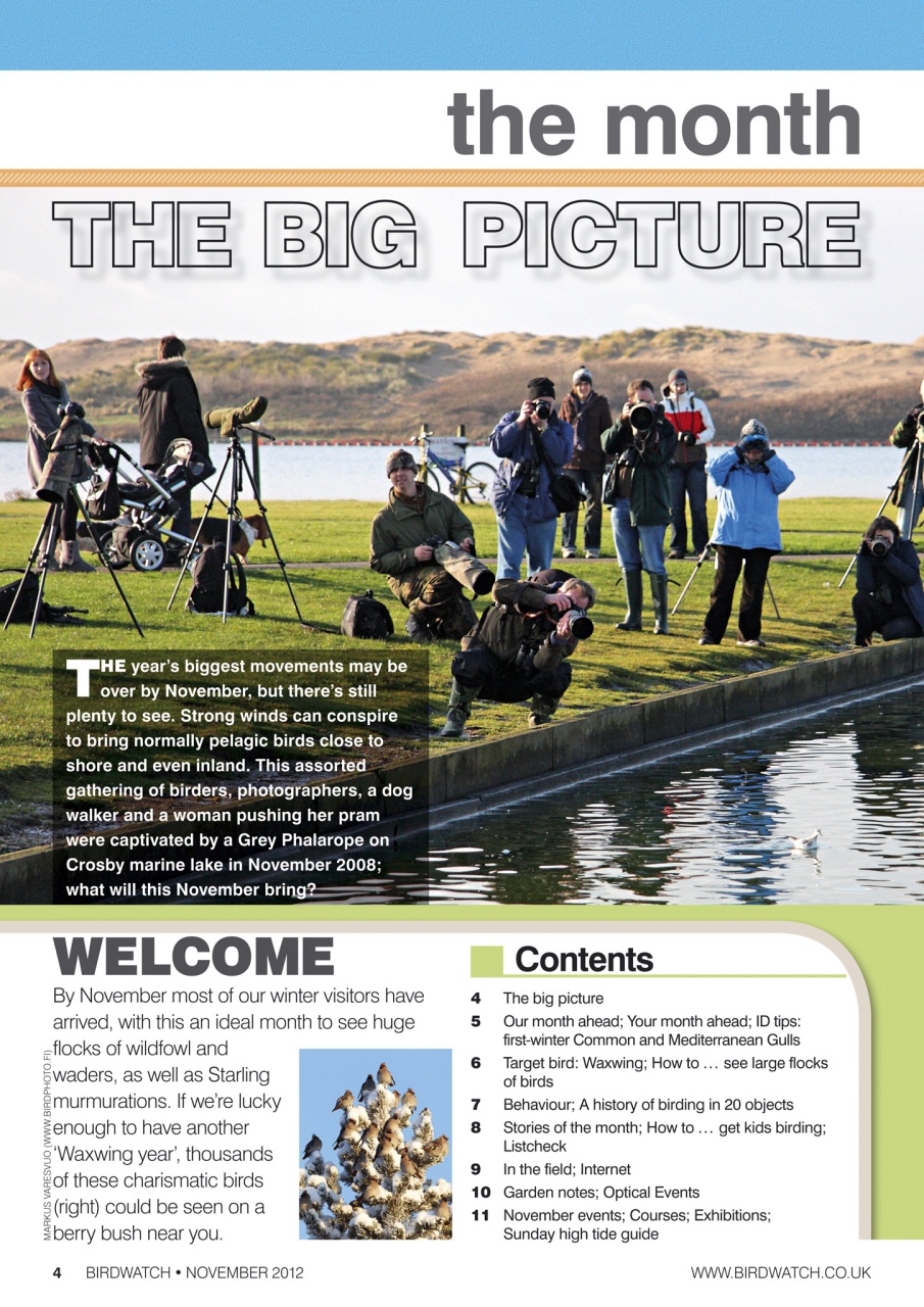 Birdwatch Magazine Preview Pages