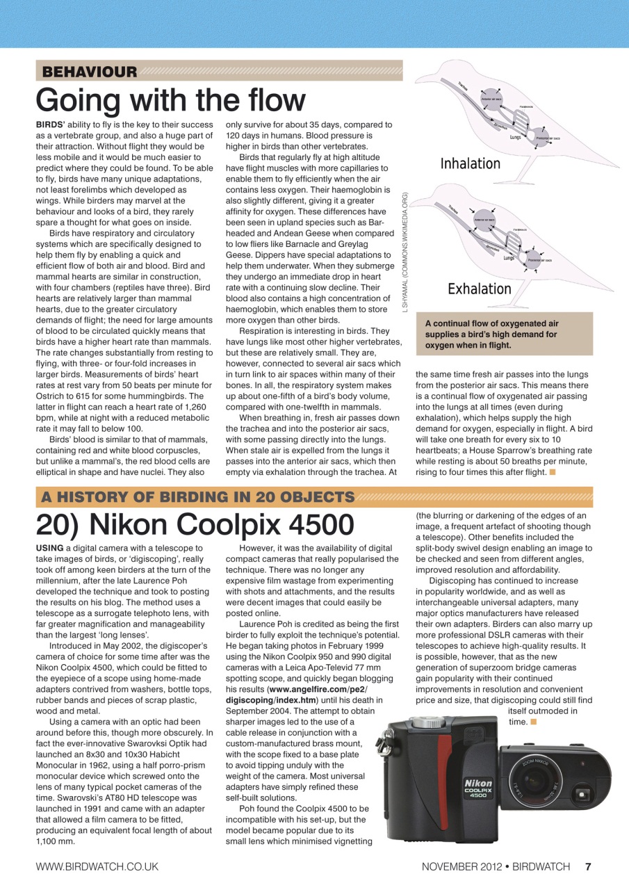 Birdwatch Magazine Preview Pages