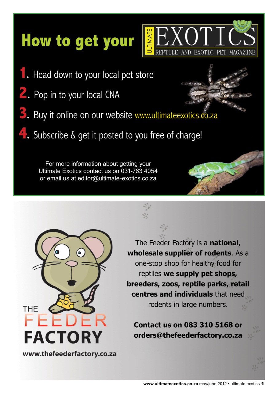 Ultimate Exotics Preview Pages