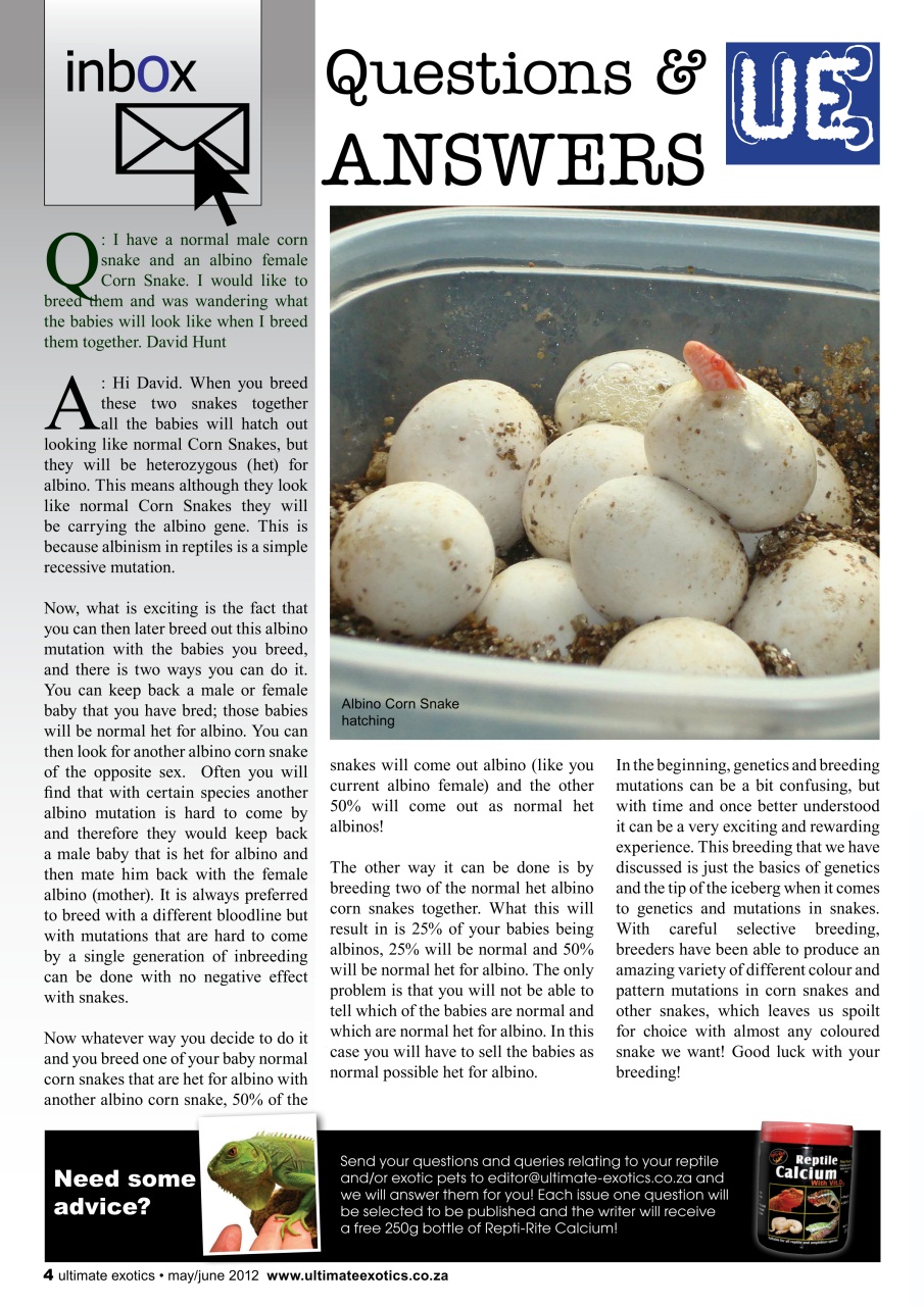 Ultimate Exotics Preview Pages