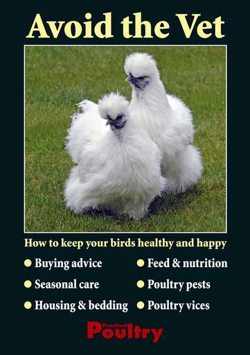 Avoid the Vet issue 