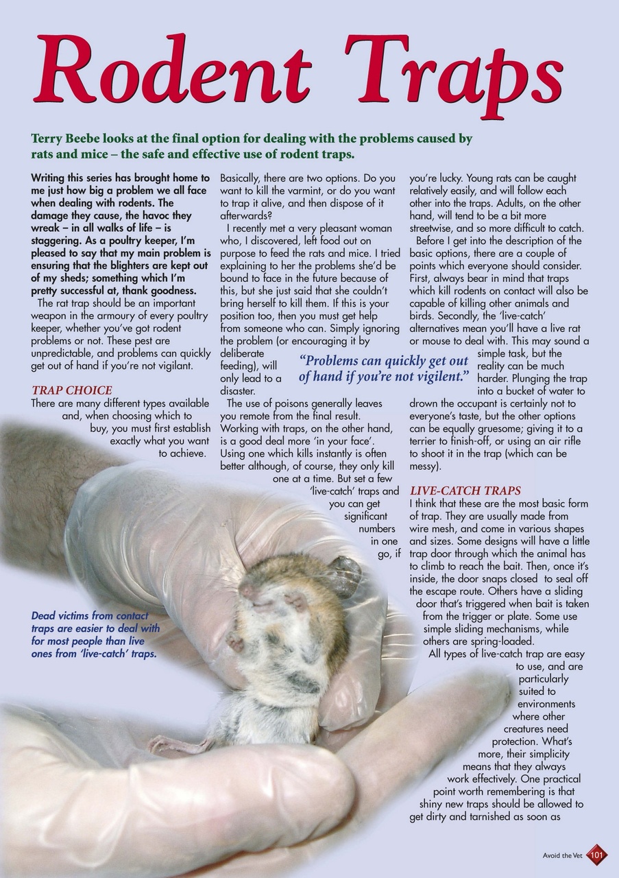 Avoid the Vet Preview Pages