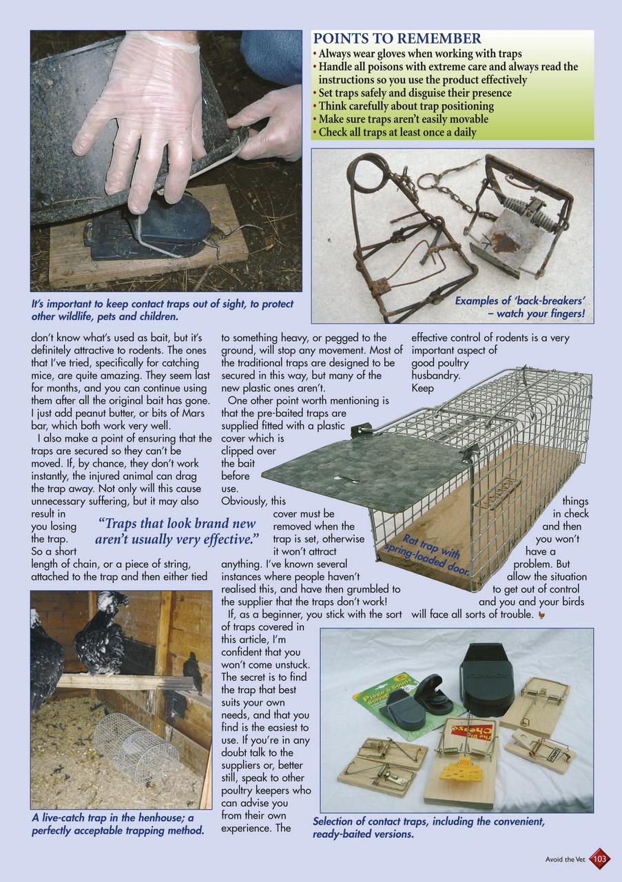 Avoid the Vet Preview Pages