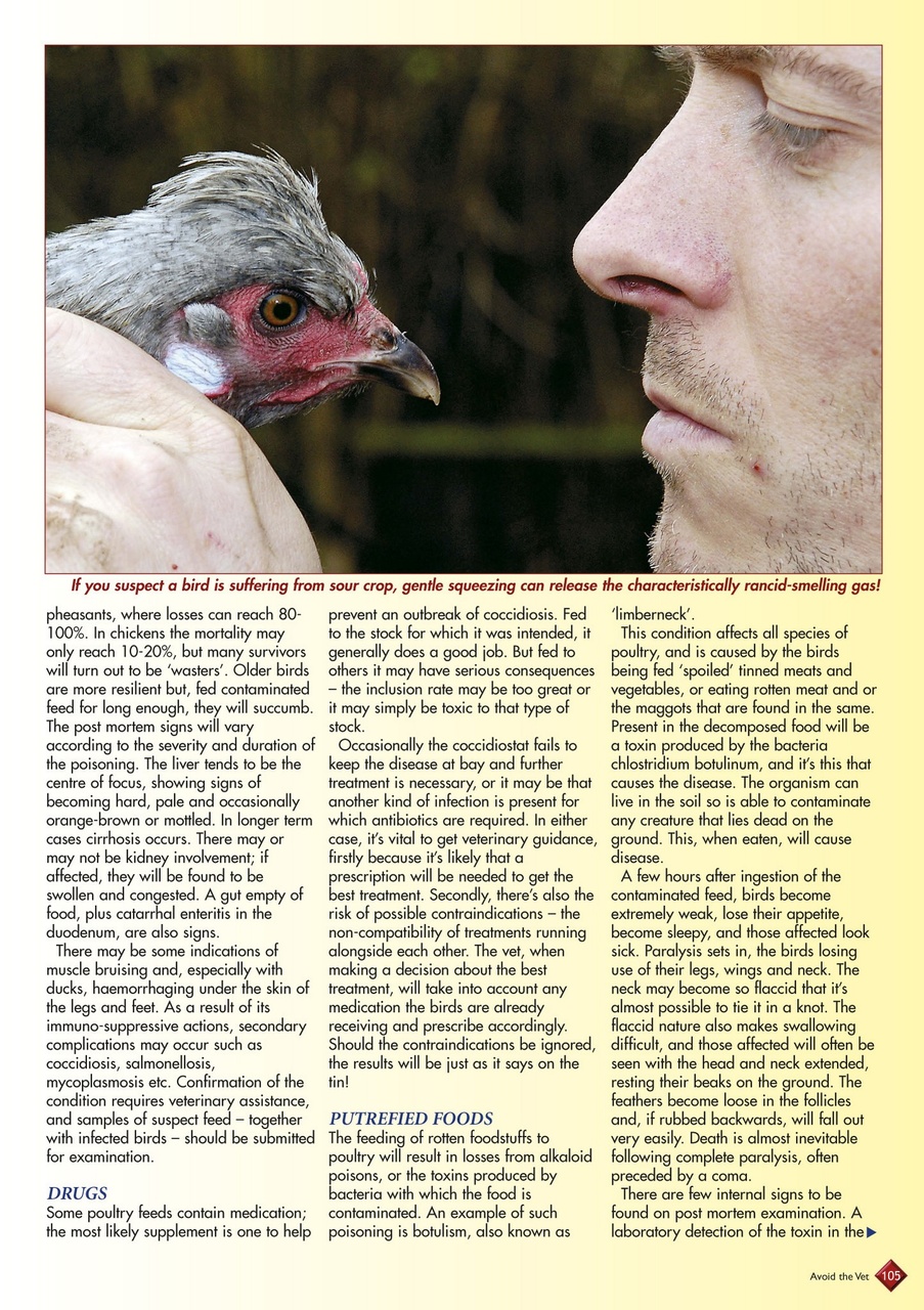 Avoid the Vet Preview Pages