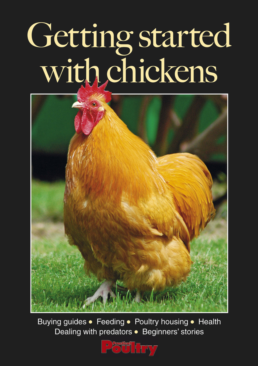 Getting started with chickens Preview Pages