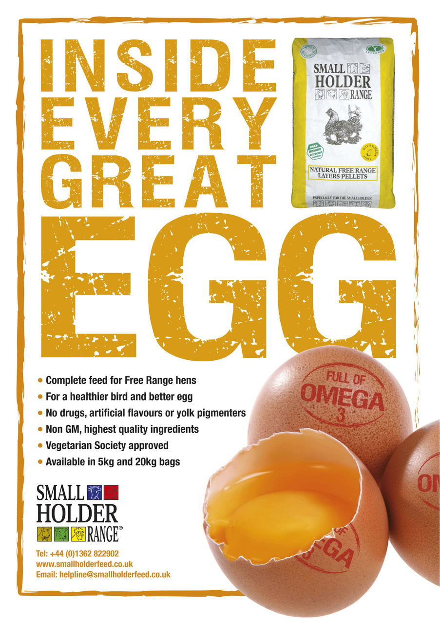 Getting started with chickens Preview Pages