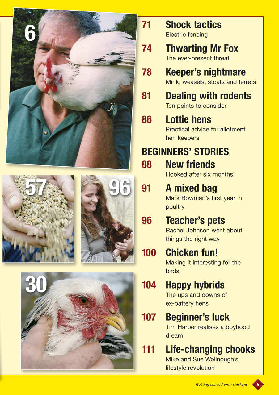 Getting started with chickens Preview Pages