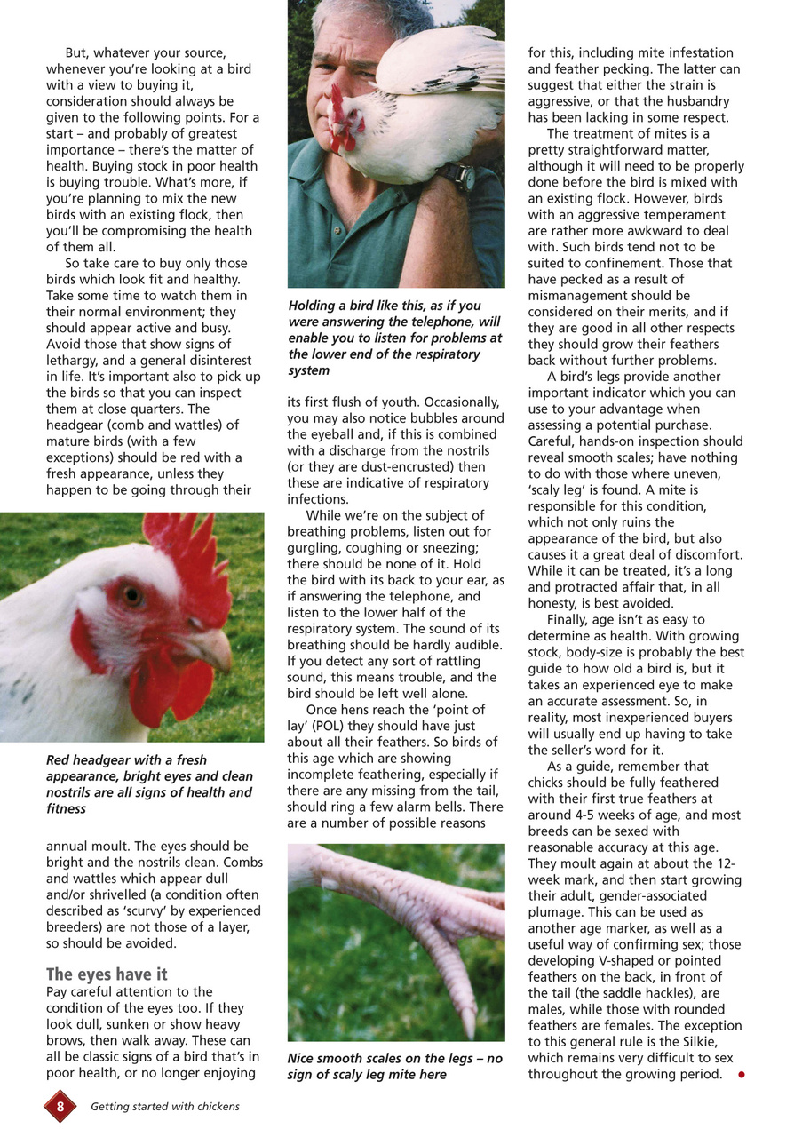 Getting started with chickens Preview Pages