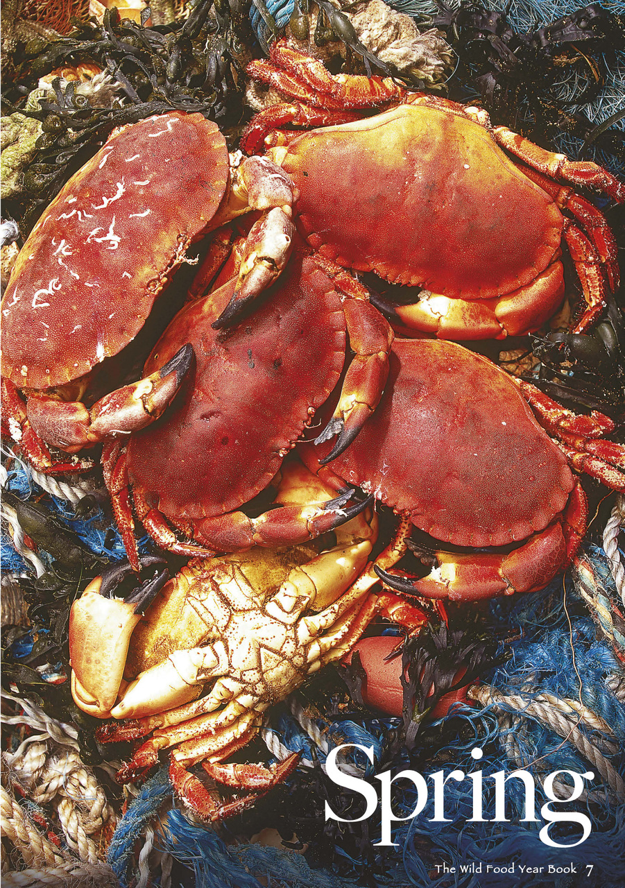 Country Kitchen -Wild Food Yr Bk Preview Pages