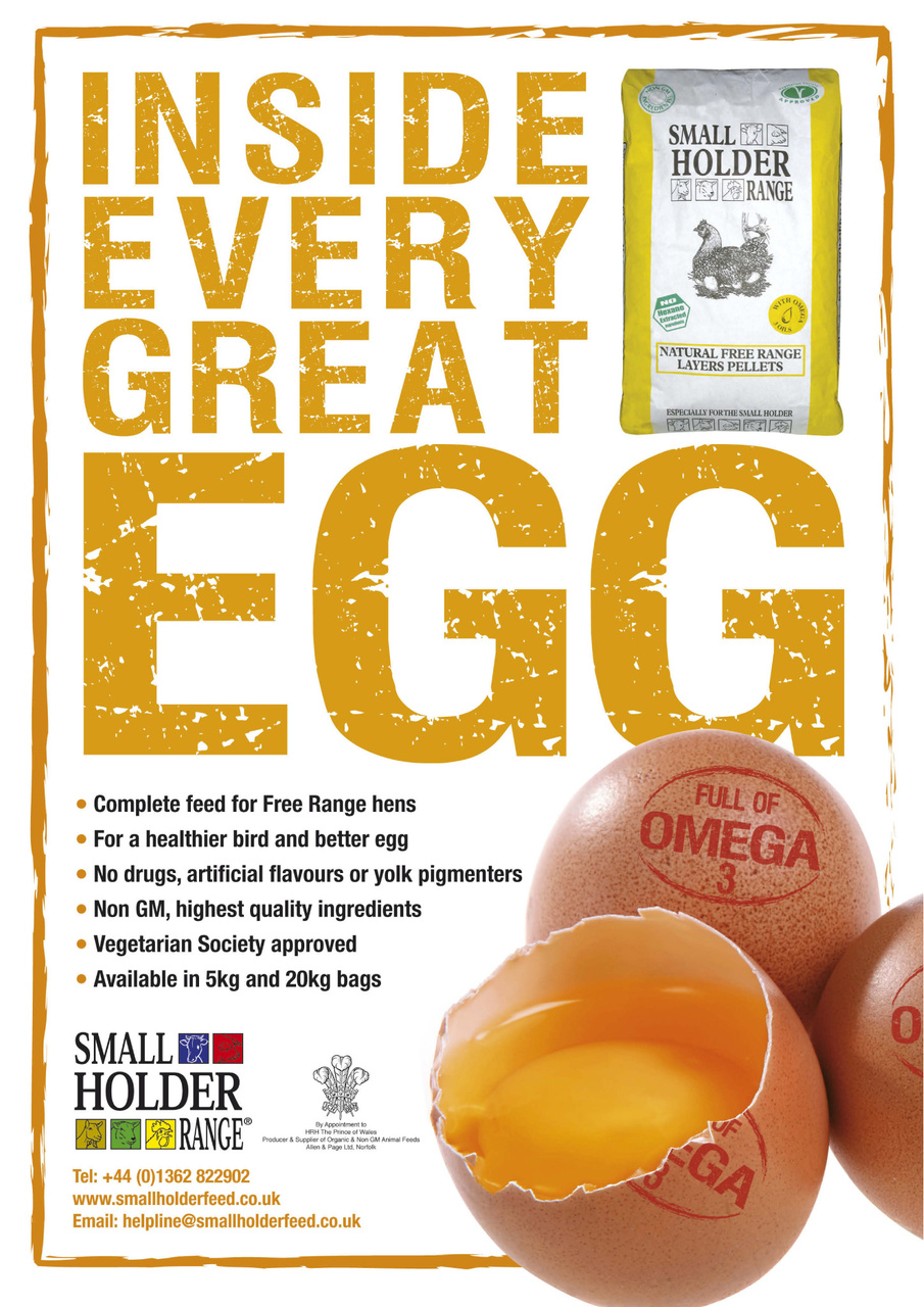 Choosing your chickens Preview Pages