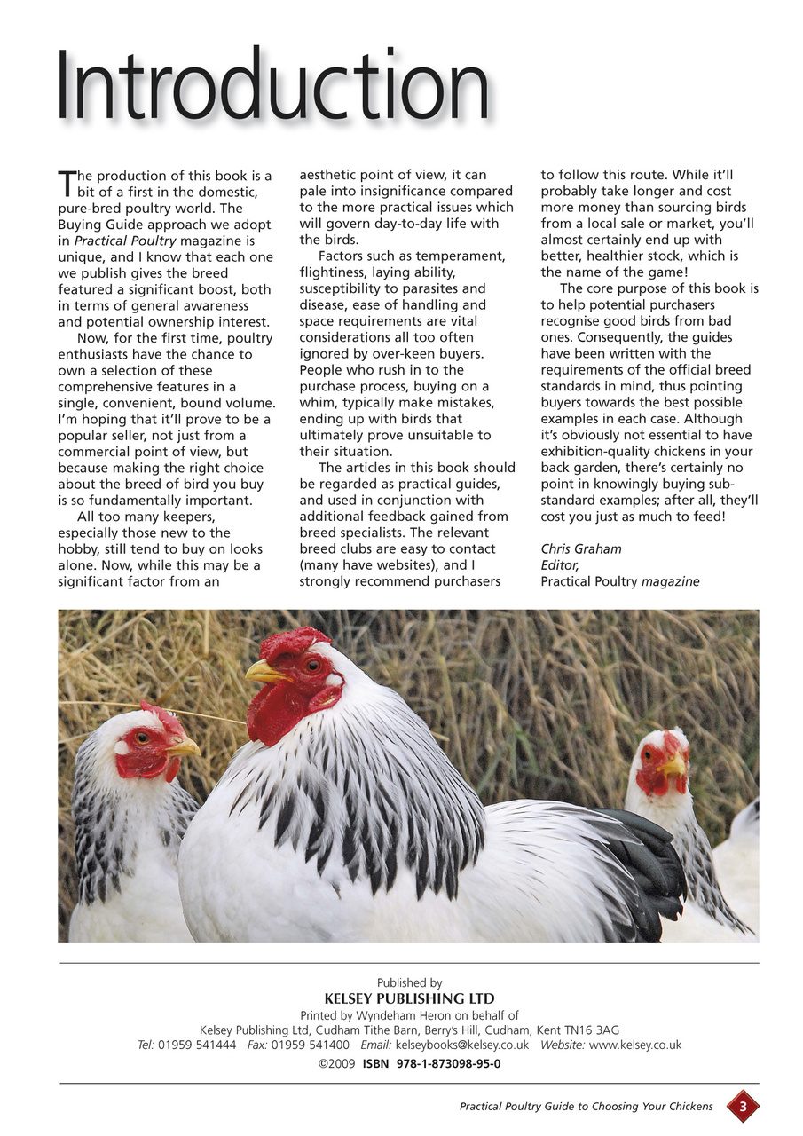 Choosing your chickens Preview Pages