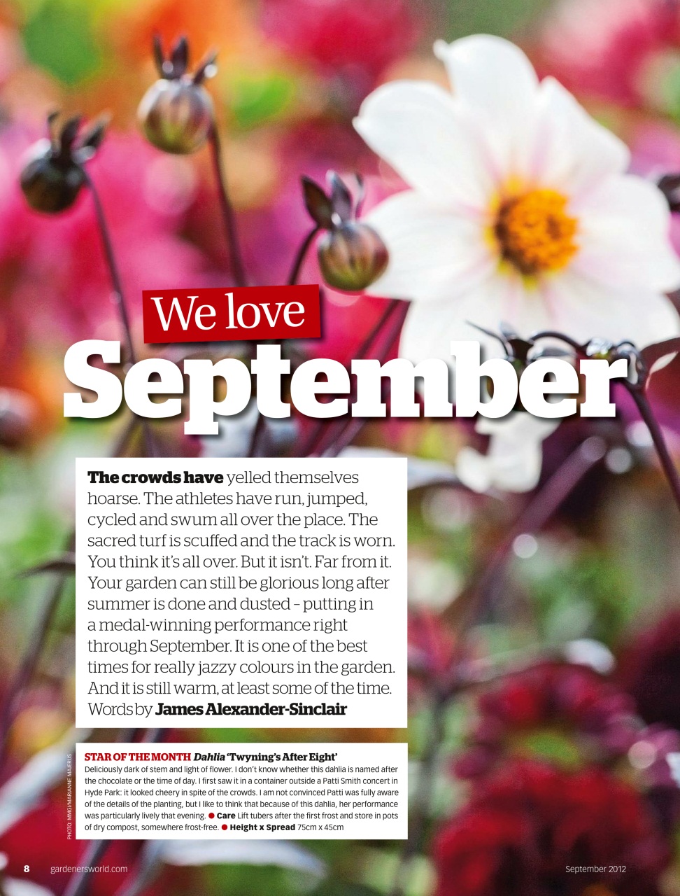 BBC Gardeners’ World Magazine Preview Pages
