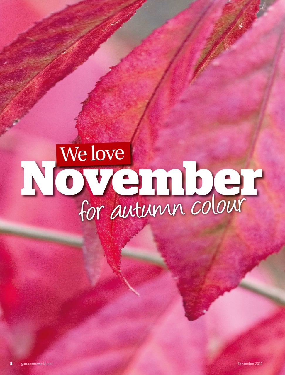 BBC Gardeners’ World Magazine Preview Pages