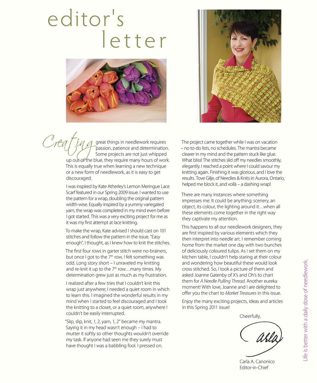 A Needle Pulling Thread Preview Pages