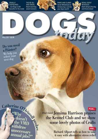 Dogs Today Magazine issue May 2011