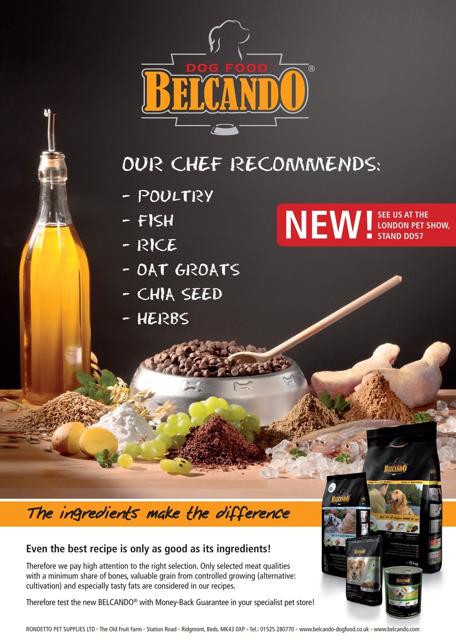 Dogs Today Magazine Preview Pages