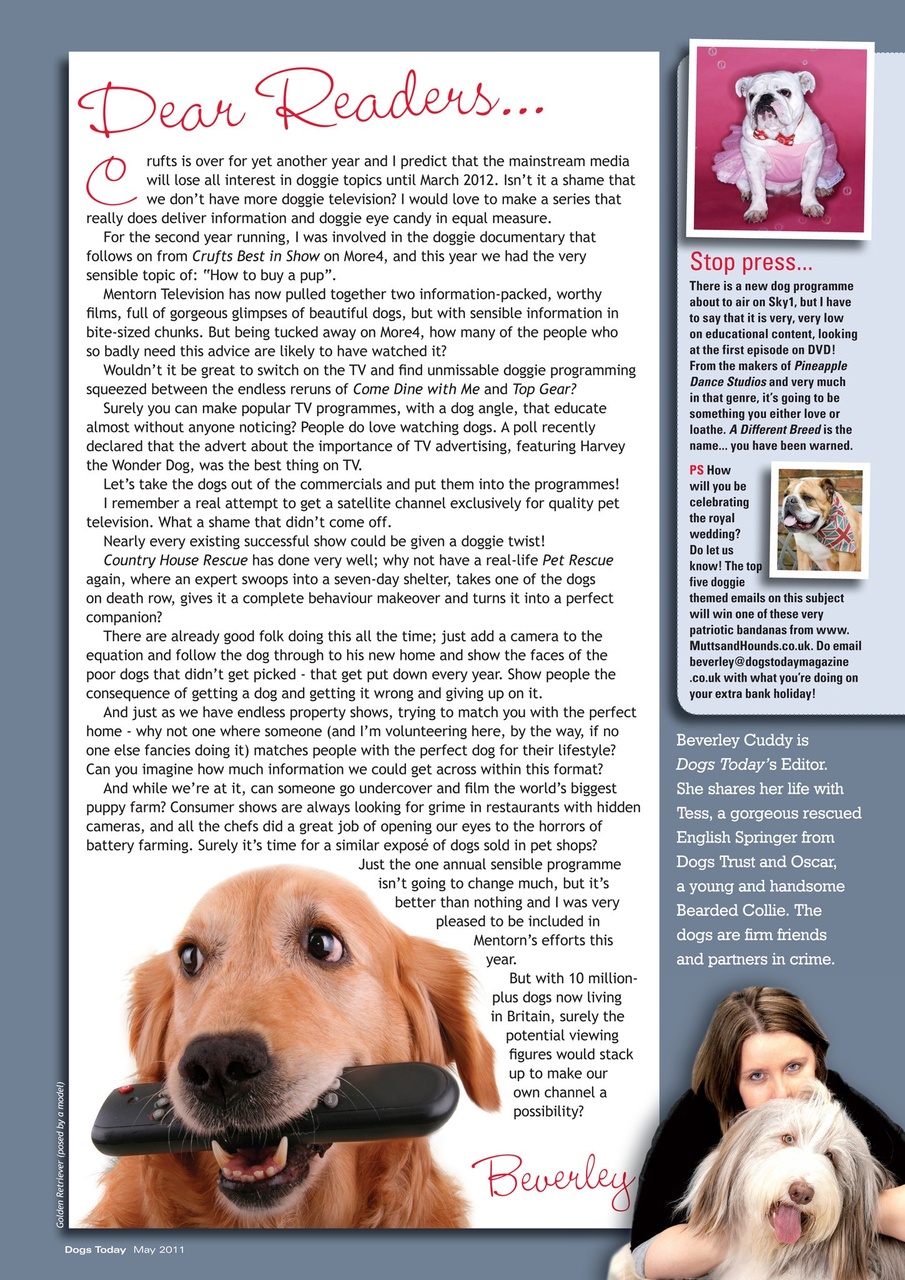 Dogs Today Magazine Preview Pages