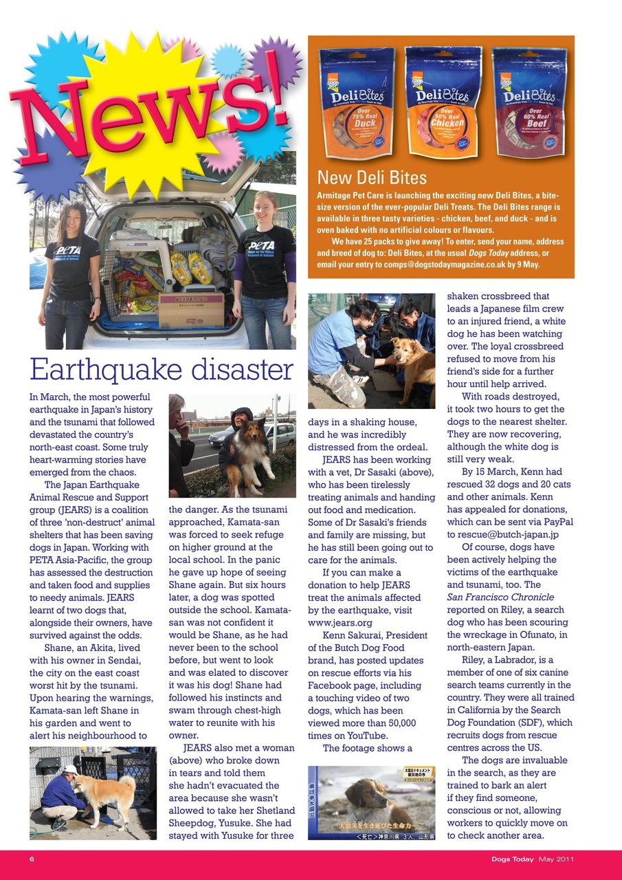 Dogs Today Magazine Preview Pages