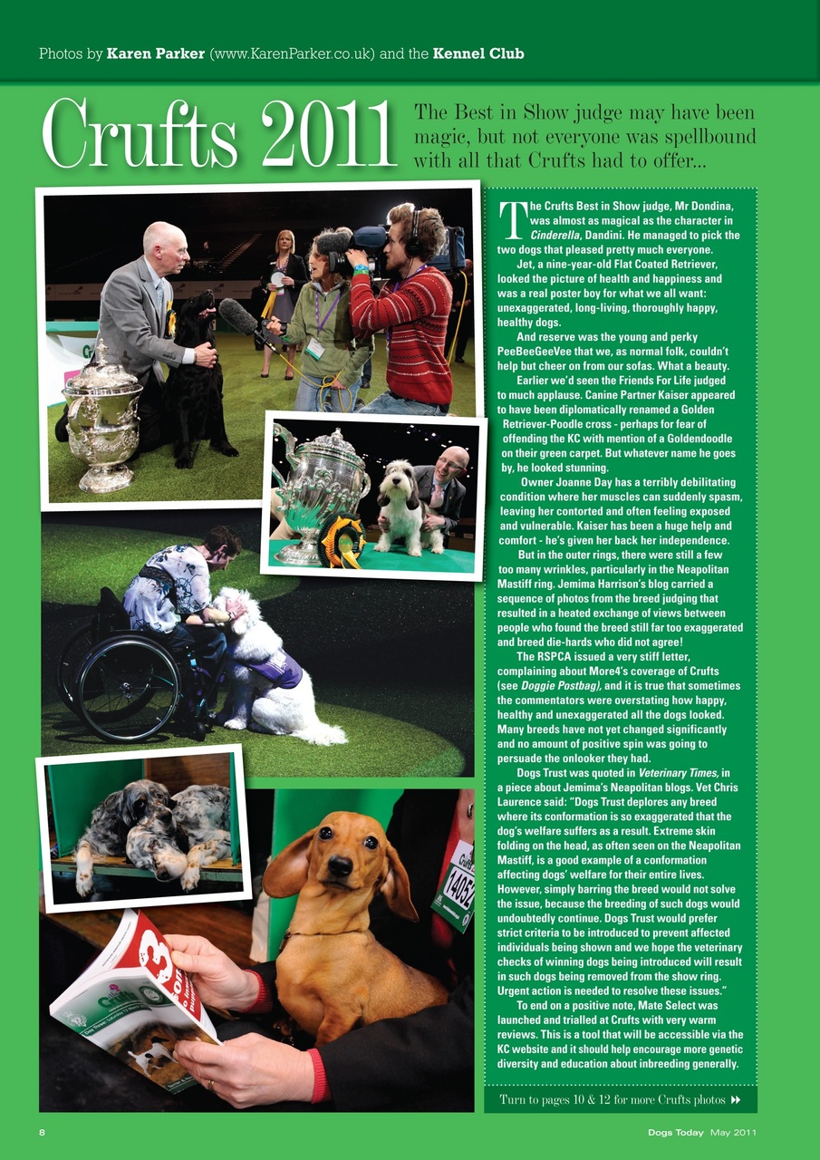 Dogs Today Magazine Preview Pages