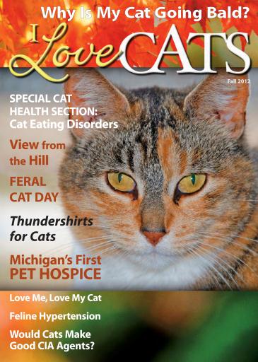 I Love Cats issue 