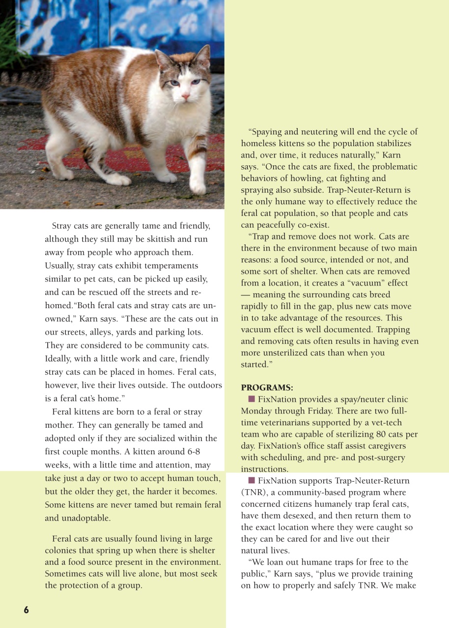 I Love Cats Preview Pages