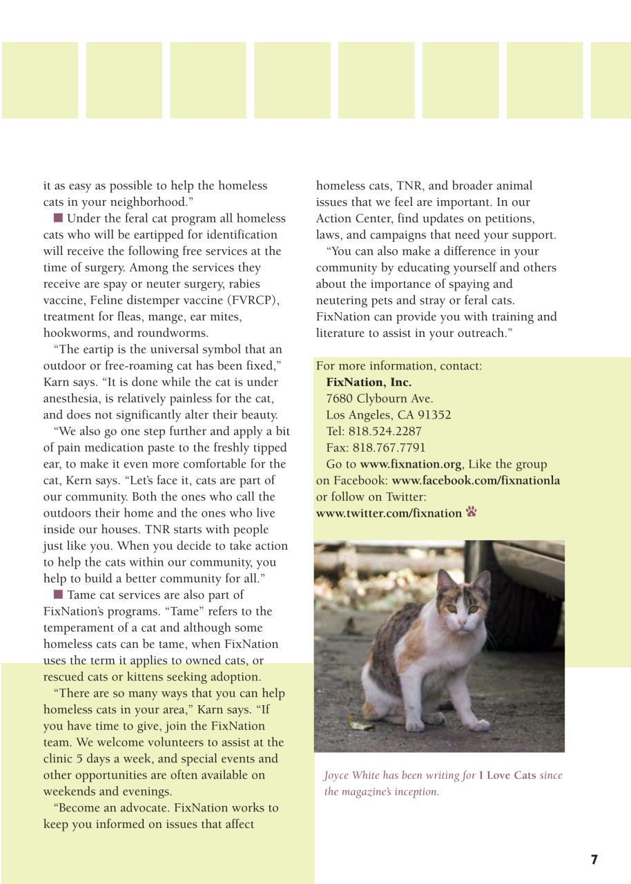 I Love Cats Preview Pages