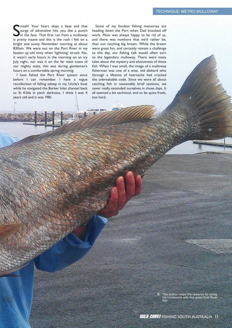 Fishing SA Preview Pages