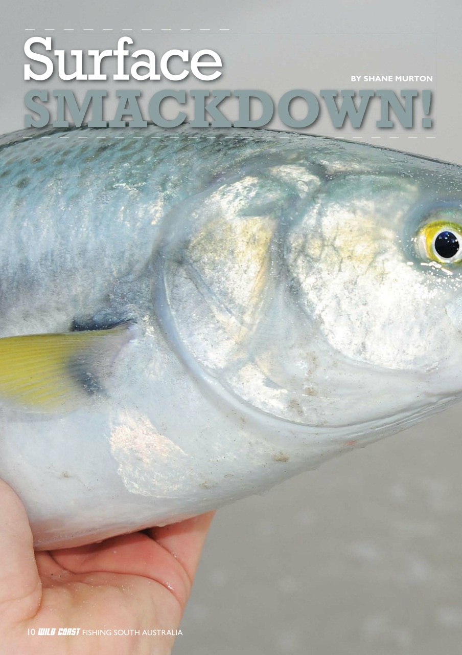 Fishing SA Preview Pages