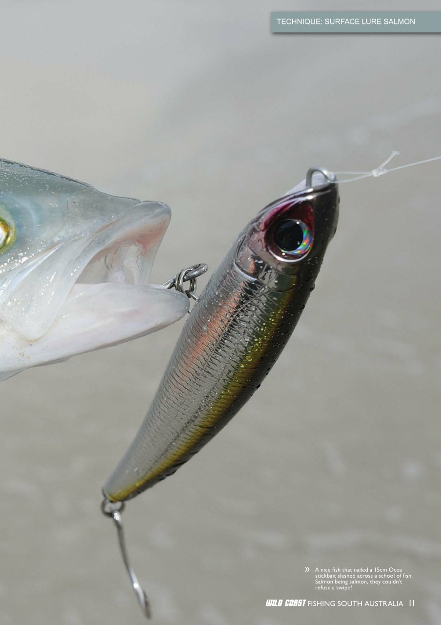 Fishing SA Preview Pages
