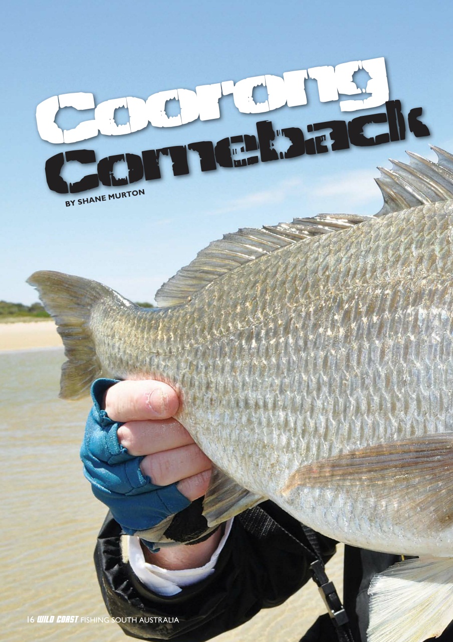 Fishing SA Preview Pages