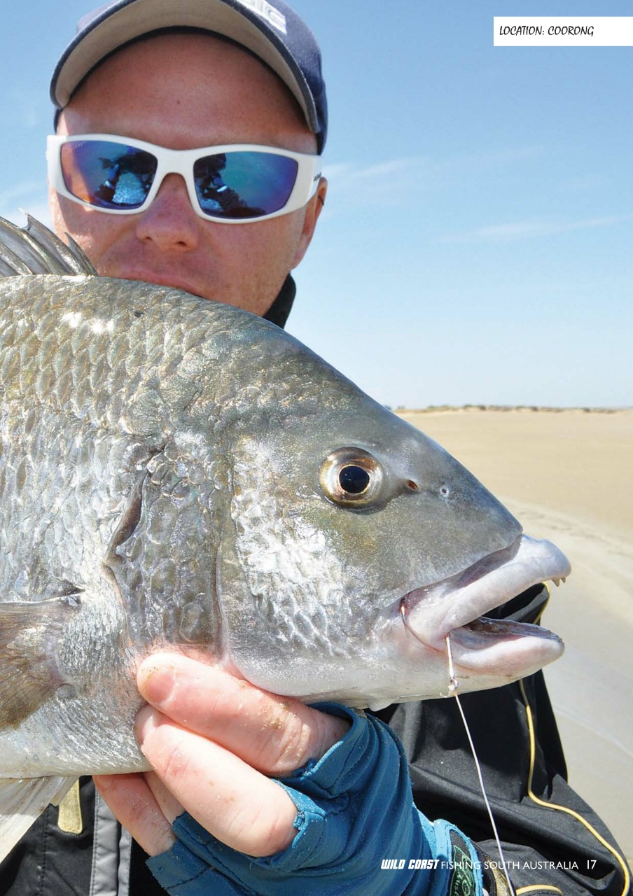 Fishing SA Preview Pages