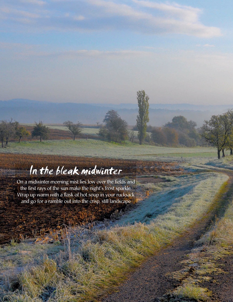 LandLove Magazine Preview Pages