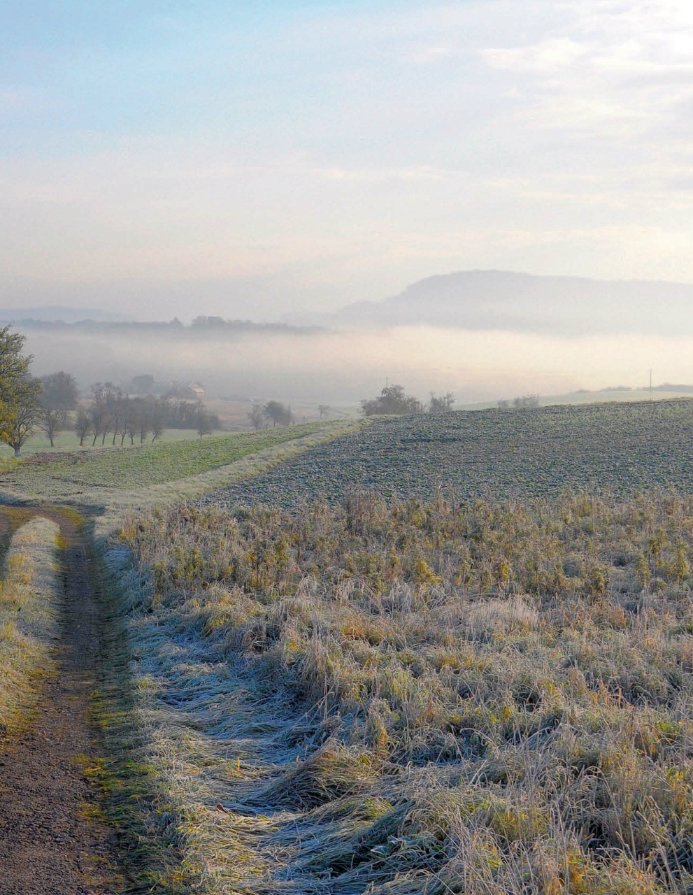 LandLove Magazine Preview Pages