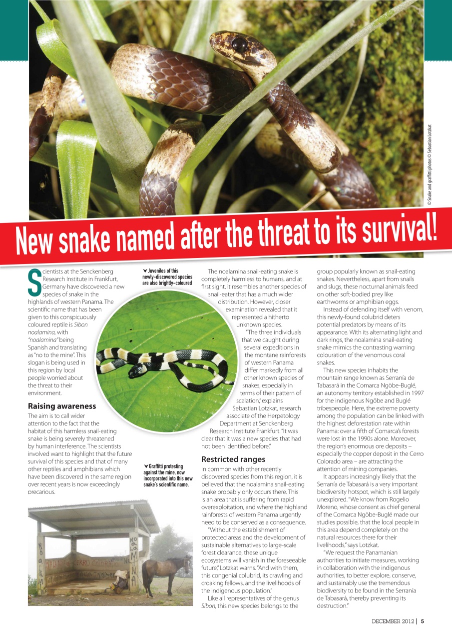 Practical Reptile Keeping Preview Pages