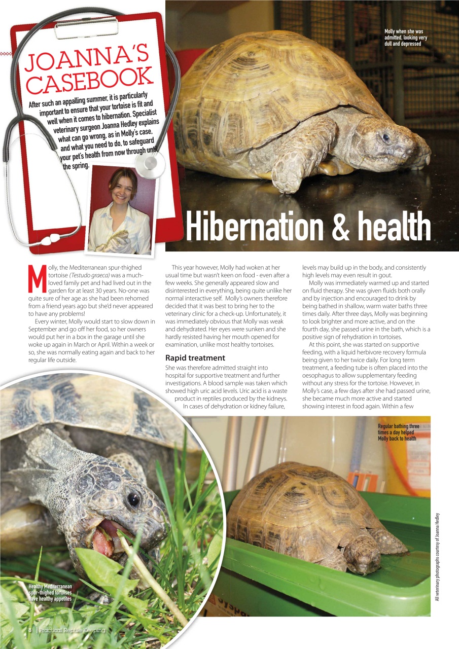 Practical Reptile Keeping Preview Pages