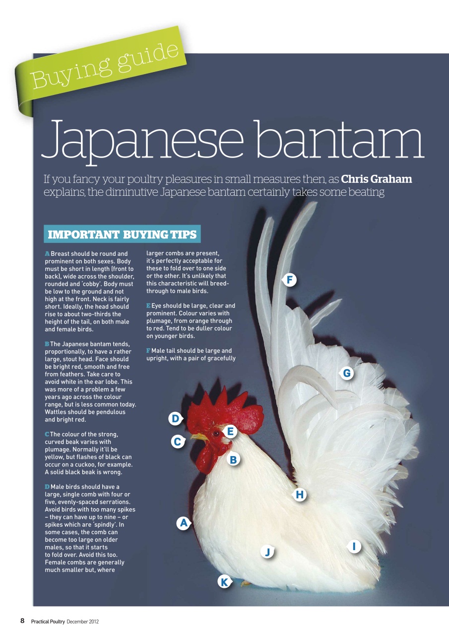 Practical Poultry Preview Pages