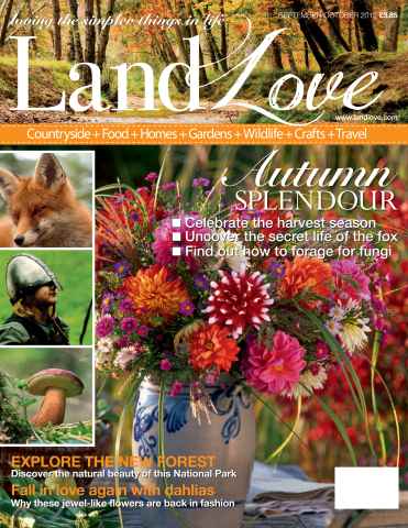 LandLove Magazine issue Sept-Oct 2012